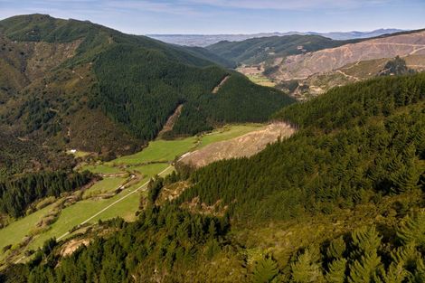Photo of property in 895 Waikakaho Road, Tuamarina, Blenheim, 7273