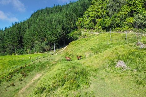Photo of property in 109 Mcivor Road, Rotoma, Whakatane, 3192