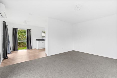 Photo of property in 9 Guy Avenue, Levin, 5510