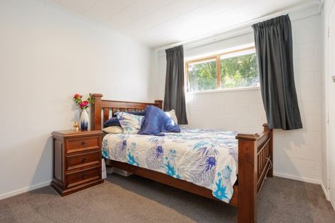 Photo of property in 213 Horahora Road, Piarere, Tirau, 3484