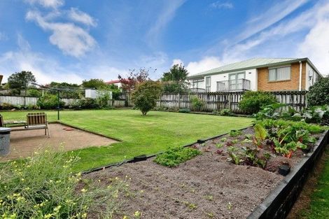 Photo of property in 8 Hollinger Place, Nawton, Hamilton, 3200