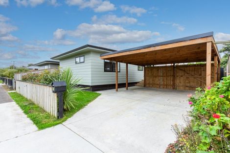 Photo of property in 17 Hall Street, Woodville, 4920