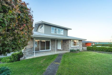 Photo of property in 123 Bellevue Road, Brookfield, Tauranga, 3110