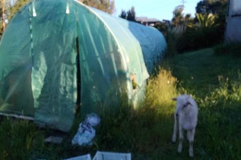 Photo of property in 190 Church Road, Kaitaia, 0482