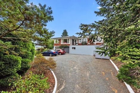 Photo of property in 29 Newcastle Road, Dinsdale, Hamilton, 3204