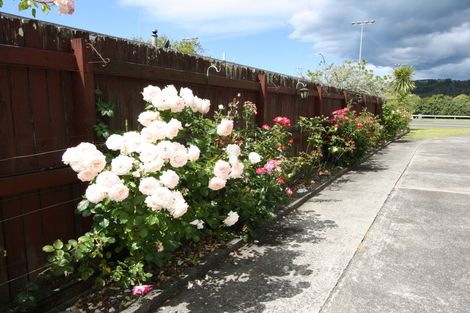 Photo of property in 76 Eivers Road, Whakatane, 3120