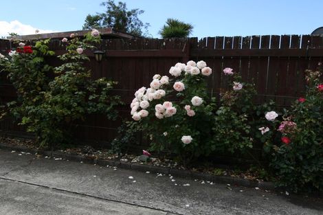 Photo of property in 76 Eivers Road, Whakatane, 3120