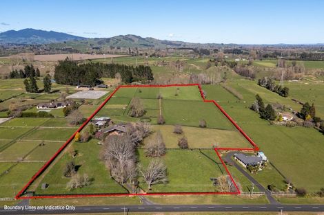 Photo of property in 146 French Pass Road, Cambridge, 3496