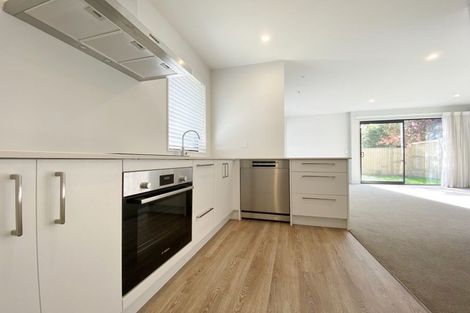 Photo of property in 28c Brookside Terrace, Bryndwr, Christchurch, 8053