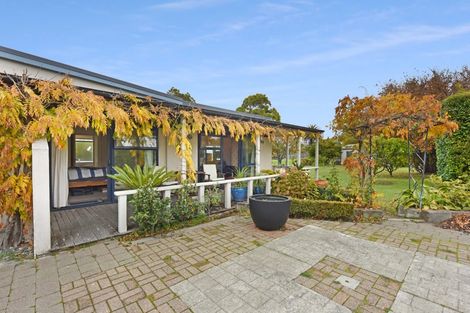 Photo of property in 18 Iwa Street, Mapua, 7005