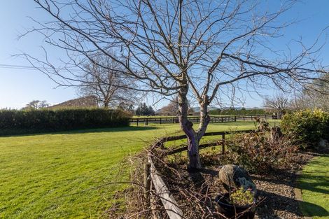 Photo of property in 161 Hautapu Road, Pukemoremore, Cambridge, 3493