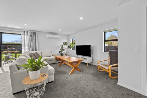 Photo of property in 20 David Street, Hinds, Ashburton, 7773