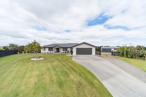 Photo of property in 49 Wapiti Avenue, Feilding, 4775