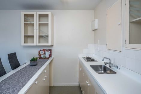 Photo of property in Avon Flats, 17/217u The Terrace, Wellington Central, Wellington, 6011