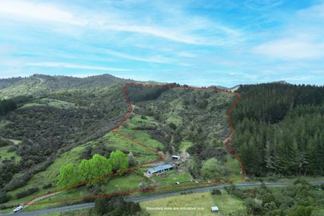 Photo of property in 171 Raurimu Kaitieke Road, Raurimu, Owhango, 3990