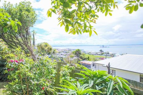 Photo of property in 46 Walker Street, Bluff, 9814