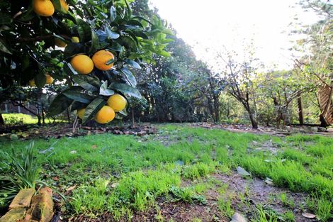 Photo of property in 42 Minnehaha Avenue, Titirangi, Auckland, 0604