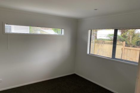 Photo of property in 160u2 Rimu Street, Maeroa, Hamilton, 3200