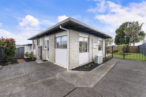 Photo of property in 1/10 Statesman Street, Henderson, Auckland, 0612