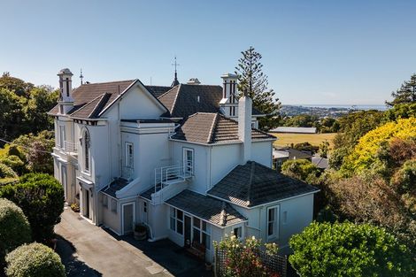 Photo of property in 88 Eglinton Road, Mornington, Dunedin, 9011