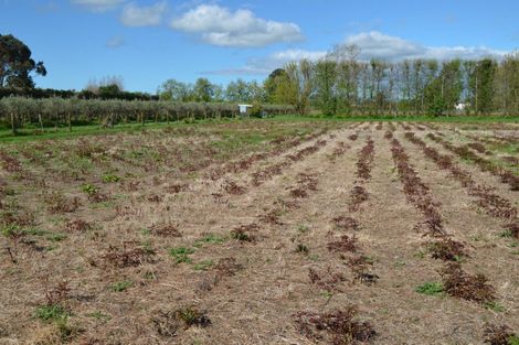 Photo of property in 83 Boundary Road, Upper Plain, Masterton, 5888