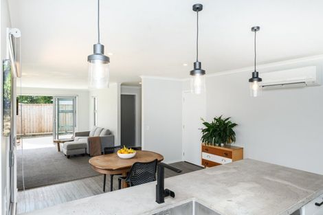 Photo of property in 96a Sherwill Street West, Feilding, 4702