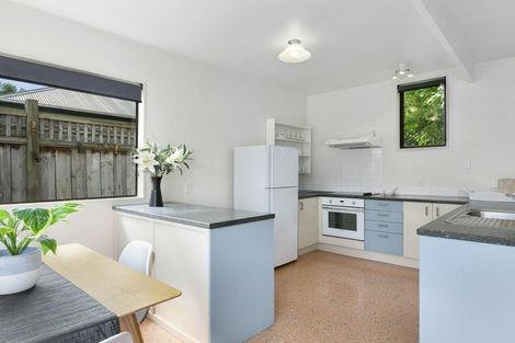 Photo of property in 18 Pentland Street, North East Valley, Dunedin, 9010