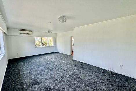 Photo of property in 13 Hellyers Street, Birkdale, Auckland, 0626