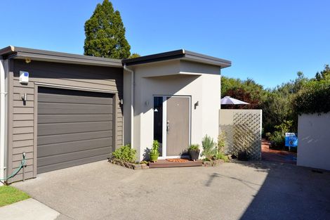 Photo of property in 21a Darley Street, Maeroa, Hamilton, 3200