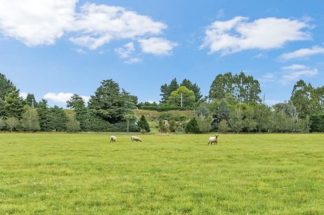 Photo of property in 1406 Cust Road, Cust, Rangiora, 7471