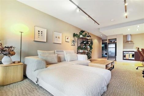 Photo of property in Revolucion Apartments, 204/28w Torrens Terrace, Mount Cook, Wellington, 6011