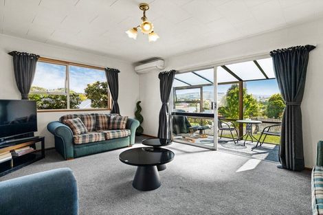 Photo of property in 117 Glenpark Avenue, Maryhill, Dunedin, 9011