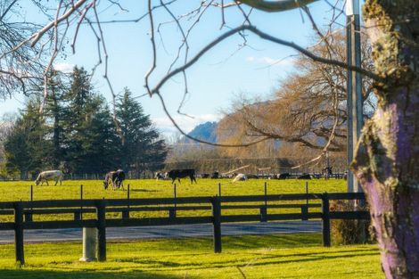 Photo of property in 161 Hautapu Road, Pukemoremore, Cambridge, 3493