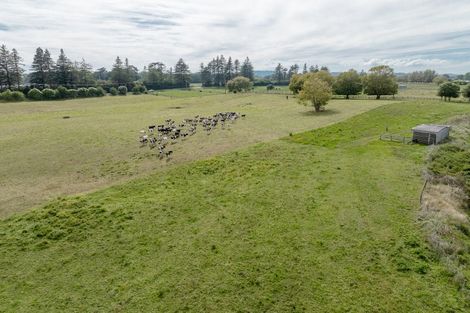 Photo of property in 59 Parallel Road, Cambridge, 3495