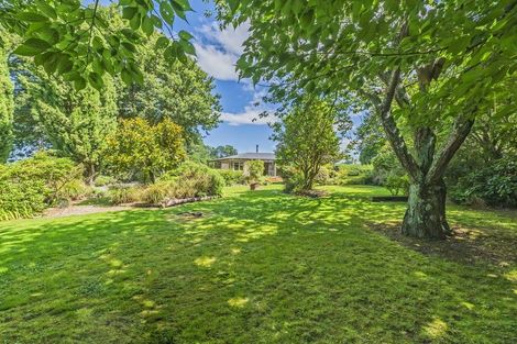 Photo of property in 428 Kowai Road, Springfield, 7681