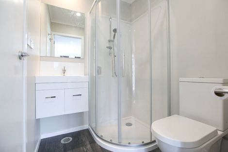 Photo of property in 16u7 Hammond Street, Hamilton Central, Hamilton, 3204
