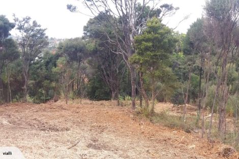 Photo of property in 24 Mccahon Place, Titirangi, Auckland, 0604