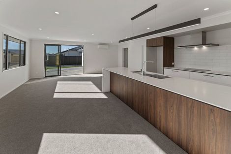 Photo of property in 20 Lampton Street, Richmond, 7020