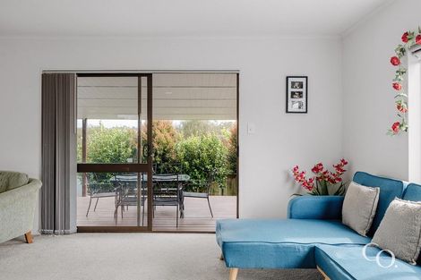 Photo of property in 48b Humber Crescent, Gate Pa, Tauranga, 3112