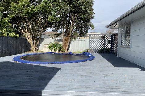 Photo of property in 51 Morgan Crescent, Levin, 5510