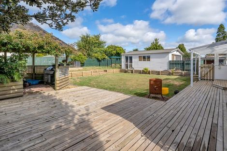 Photo of property in 143 Portia Street, Stratford, 4332