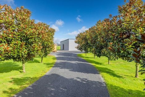 Photo of property in 188 Mill Road, Ohaupo, 3881