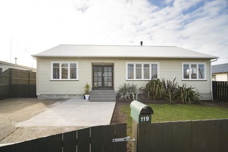 Photo of property in 119 Sherwill Street West, Feilding, 4702