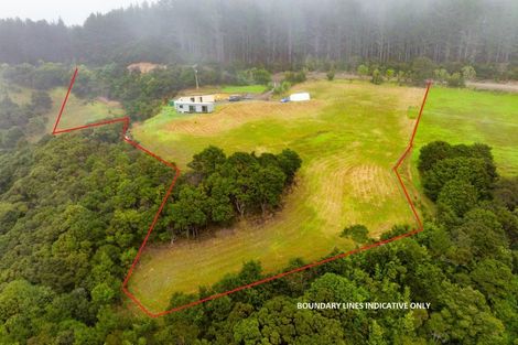 Photo of property in 60 Summer Road, Tinopai, Matakohe, 0593