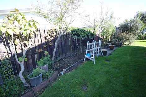Photo of property in 14 Emmett Street, Greerton, Tauranga, 3112