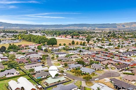 Photo of property in 18 Mckenzie Place, Matamata, 3400
