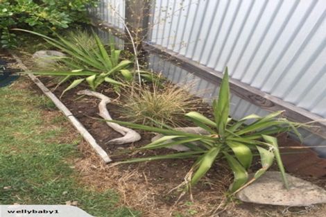Photo of property in 171 Seabury Avenue, Foxton Beach, Foxton, 4815