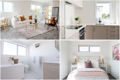Photo of property in 19 Winchester Street, Merivale, Christchurch, 8014
