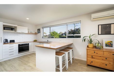 Photo of property in 29 Earl Street, Hillsborough, Christchurch, 8022