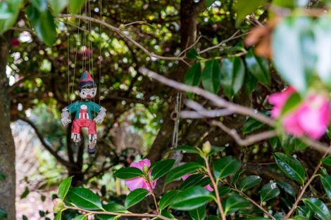 Photo of property in 162 Somerville Street, Waverley, Dunedin, 9013